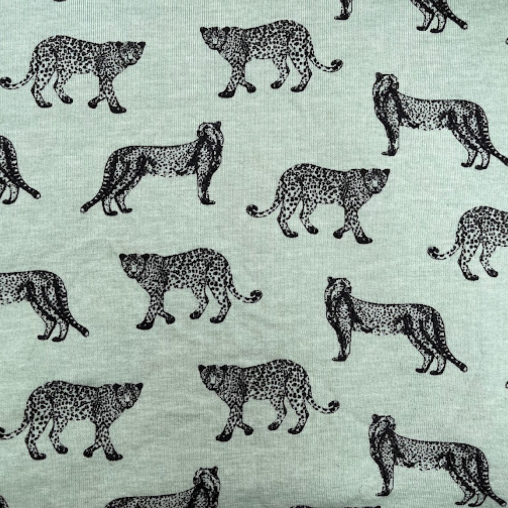 Gepard na zelené