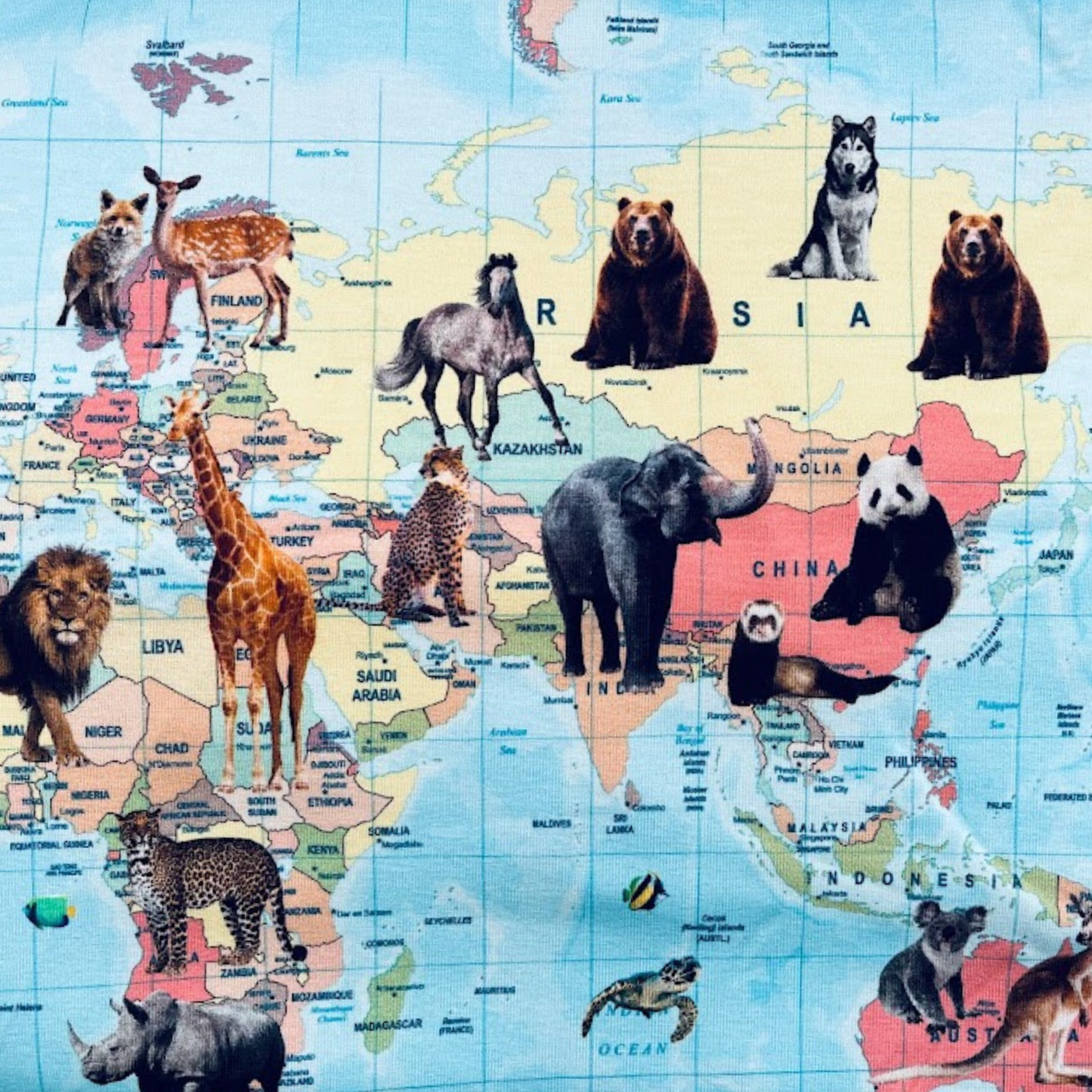 Mapa se zvířaty