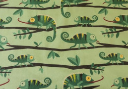 chameleoni