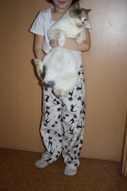 Plátěné kalhoty kočičkami