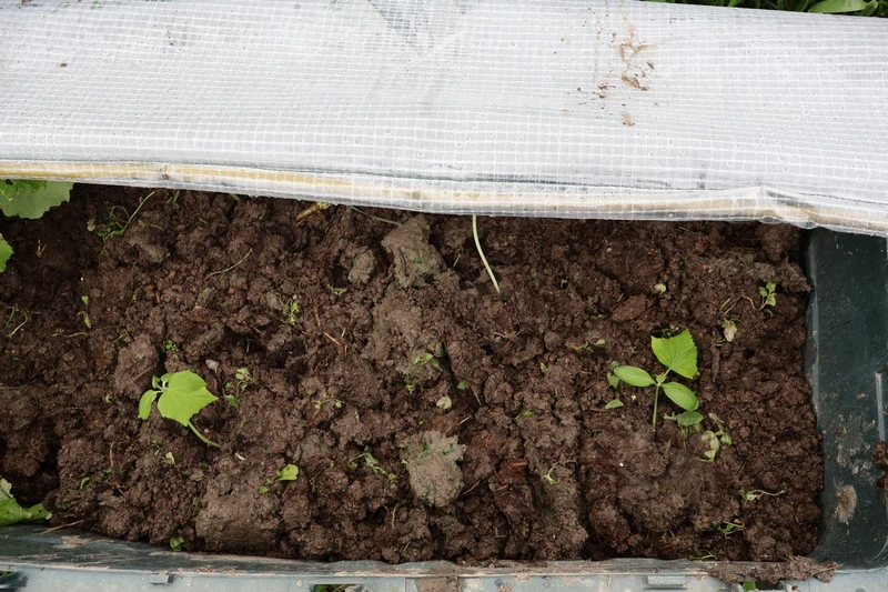 Kryt na vyvýšený záhon